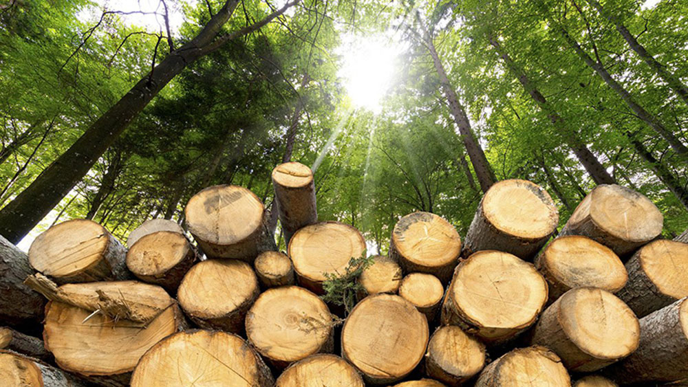 La humanidad agotará todos los recursos renovables del 2018