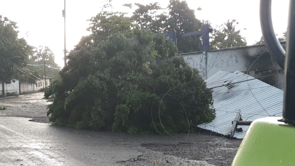 #Video Sorprende torbellino a pobladores en Oaxaca
