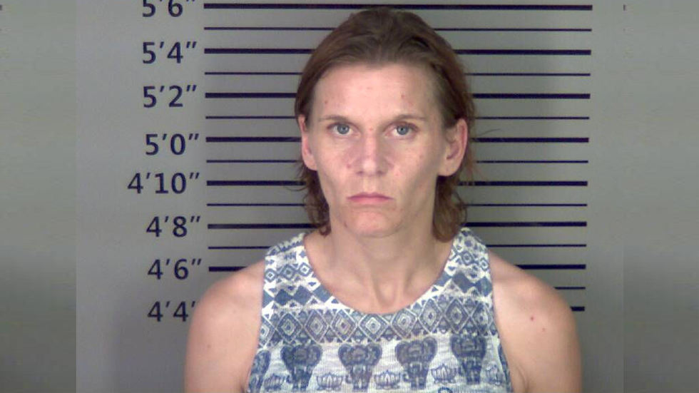 Muere perro abandonado en auto bajo el sol en Alabama