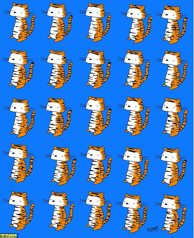 #RetoViral Encuentra al único tigre distinto a todos los demás - tigres-reto-visual