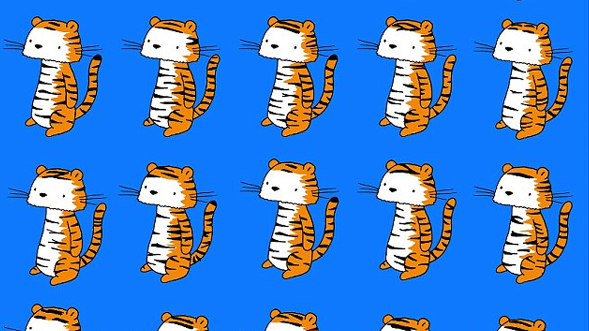 #RetoViral Encuentra al único tigre distinto a todos los demás #RetoViral Encuentra al único tigre distinto a todos los demás