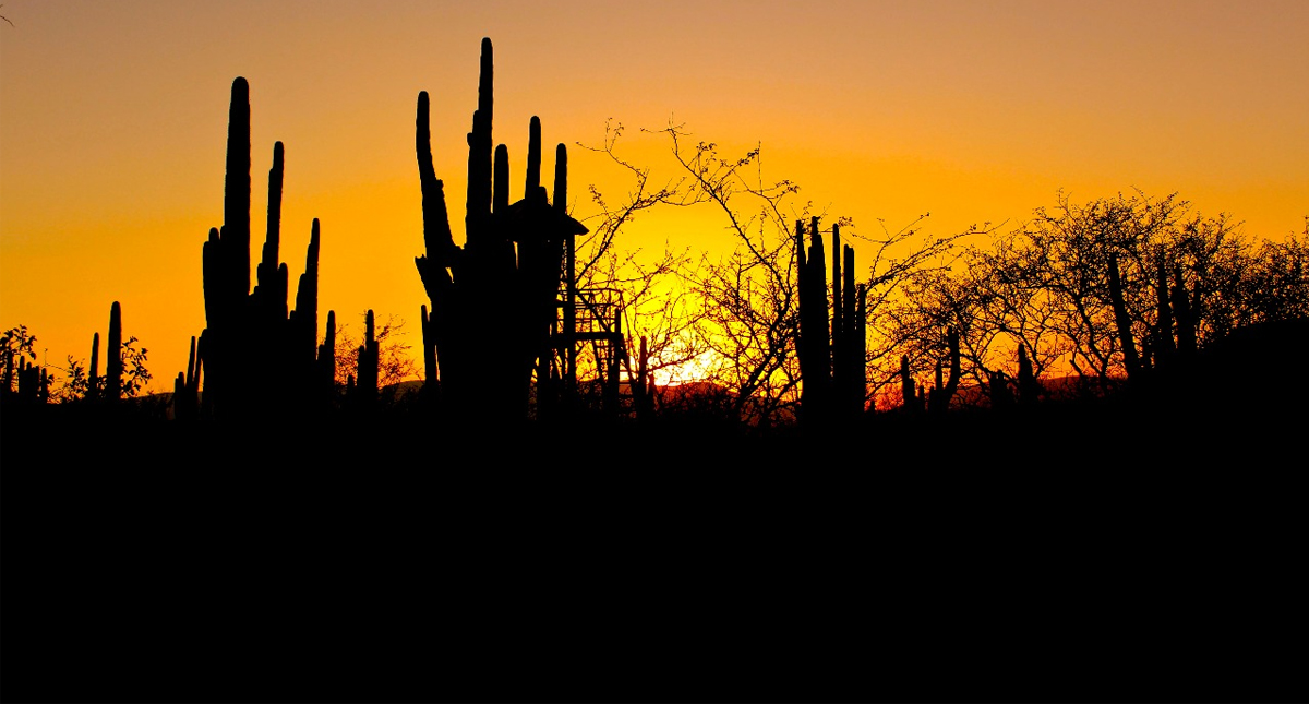 Valle de Tehuacán-Cuicatlán se suma a Lista del Patrimonio Mundial