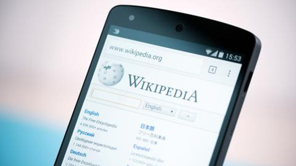 Parlamento Europeo rechaza propuesta de reforma tras protesta de Wikipedia