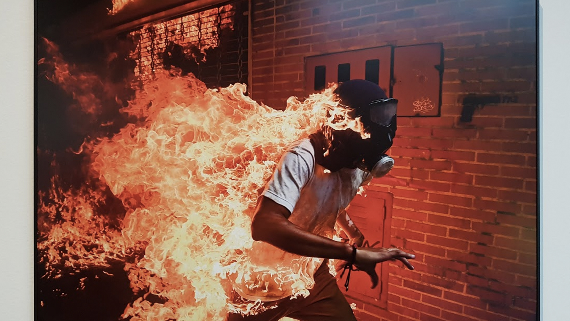 Inicia exposición de World Press Photo en la Ciudad de México
