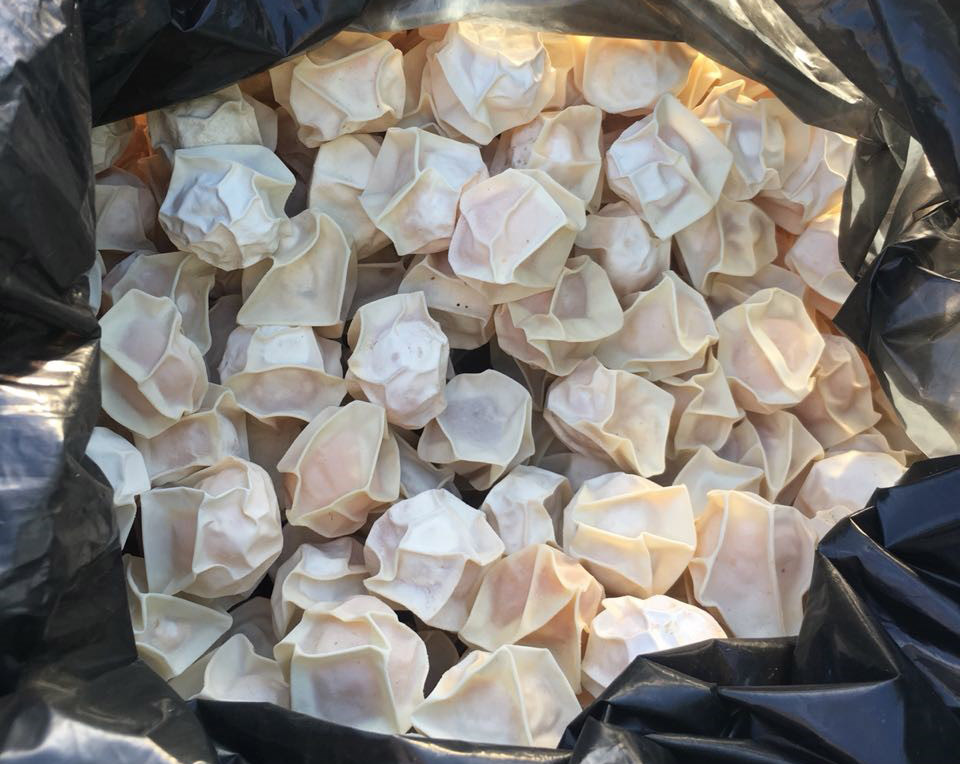 Detienen a tres sujetos con 35 mil huevos de tortuga en Oaxaca - 35-mil-huevos-1