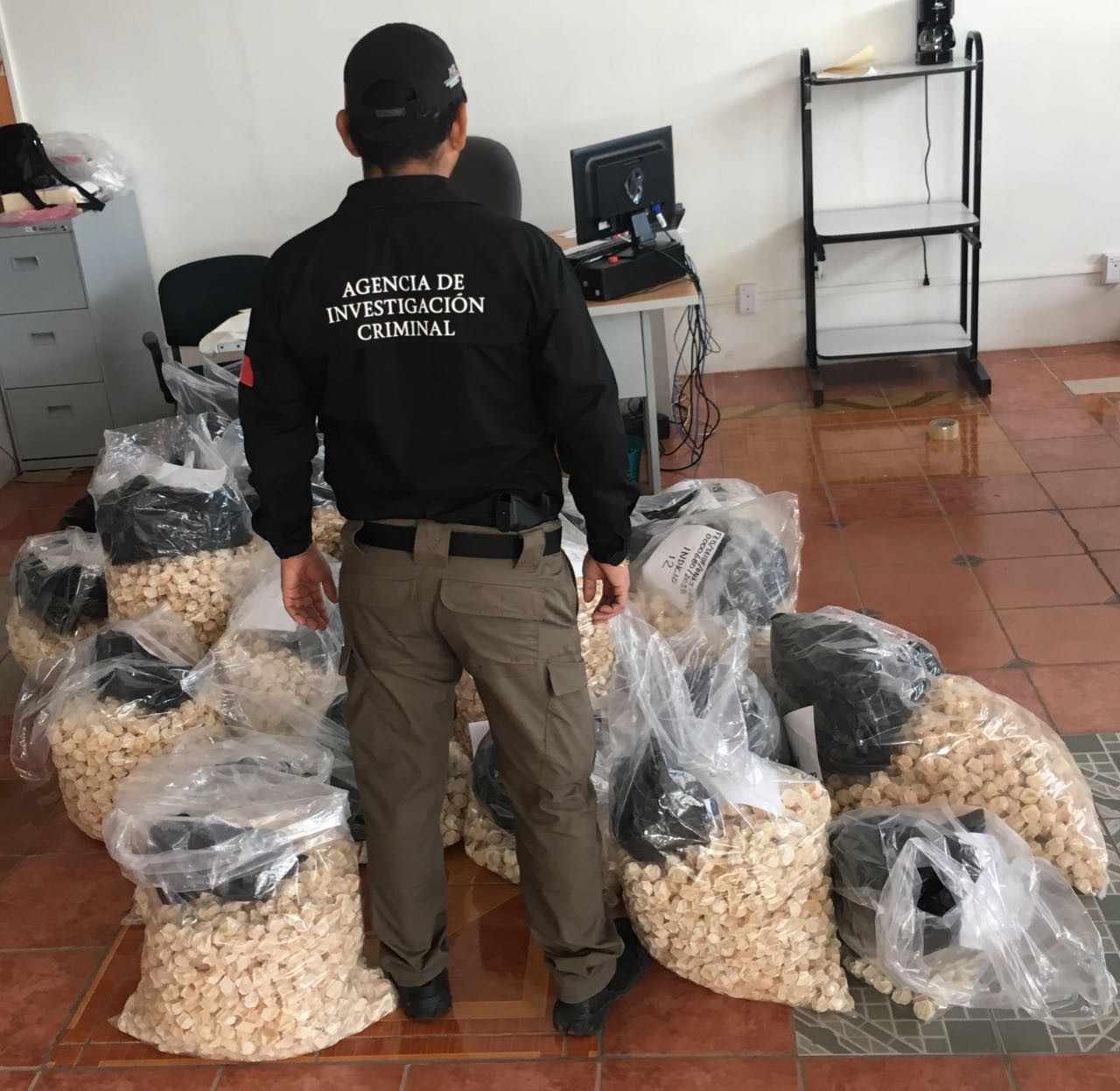 Detienen a tres sujetos con 35 mil huevos de tortuga en Oaxaca - 35-mil-huevos-3