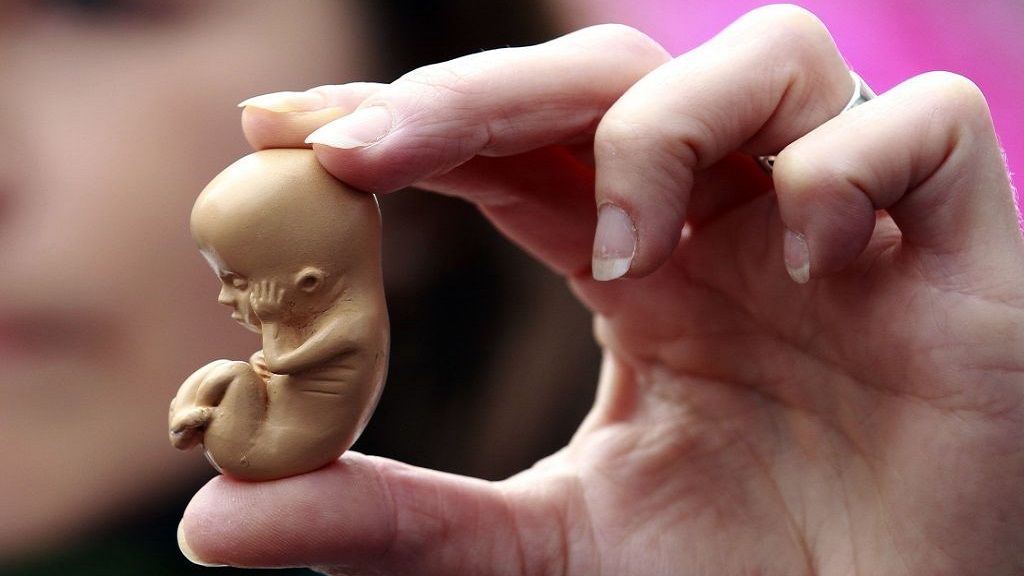 Recurrir al aborto se compara a contratar un sicario: papa Francisco - aborto