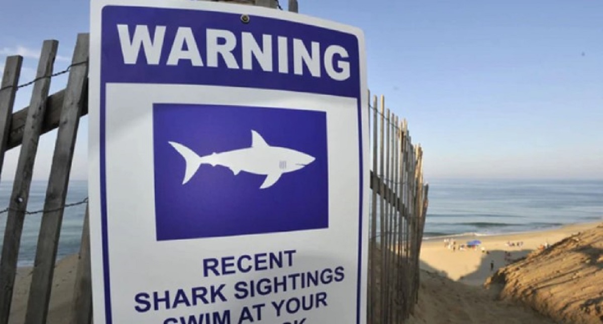 Adulto mayor sobrevive ataque de tiburón gracias a extraña casualidad