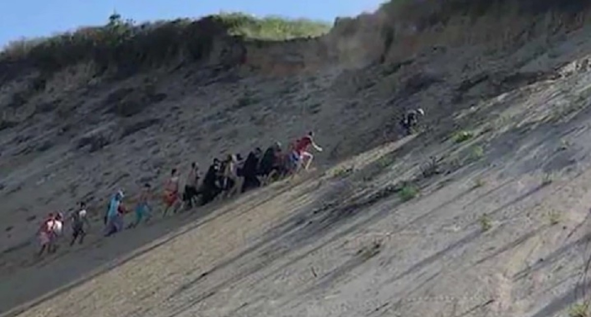 Adulto mayor sobrevive ataque de tiburón gracias a extraña casualidad - adulto-mayor-sobrevive-ataque-de-tiburon-gracias-a-extrana-casualidad