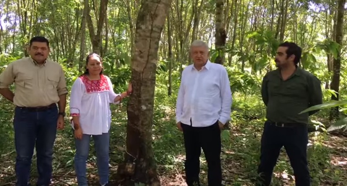AMLO regresará a Chiapas para continuar proyectos ambientales AMLO regresará a Chiapas para continuar proyectos ambientales