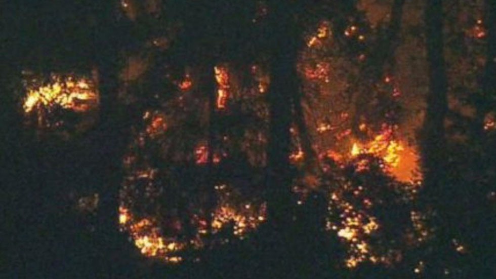 #Video Suicida estrella avión robado en Seattle