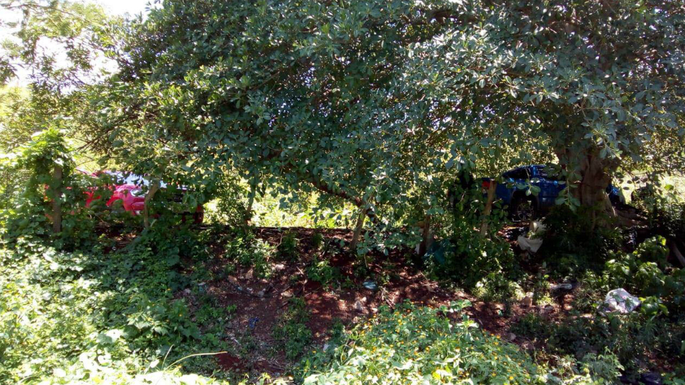 Deja dos muertos balacera en comunidad de Guerrero - balacera-guerrero-petaquillas