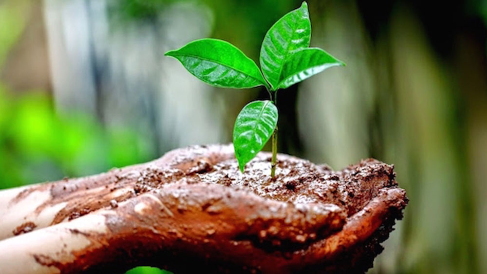 Advierten por extinción humana ante pérdida de biodiversidad