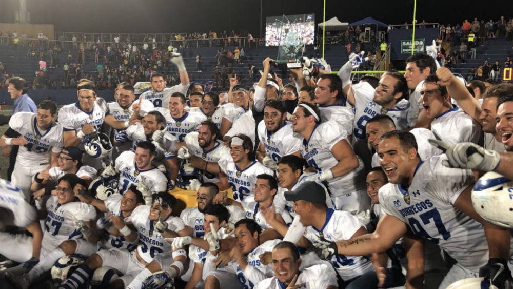 Borregos Salvajes superan a Auténticos Tigres y ganan Tazón Nuevo León