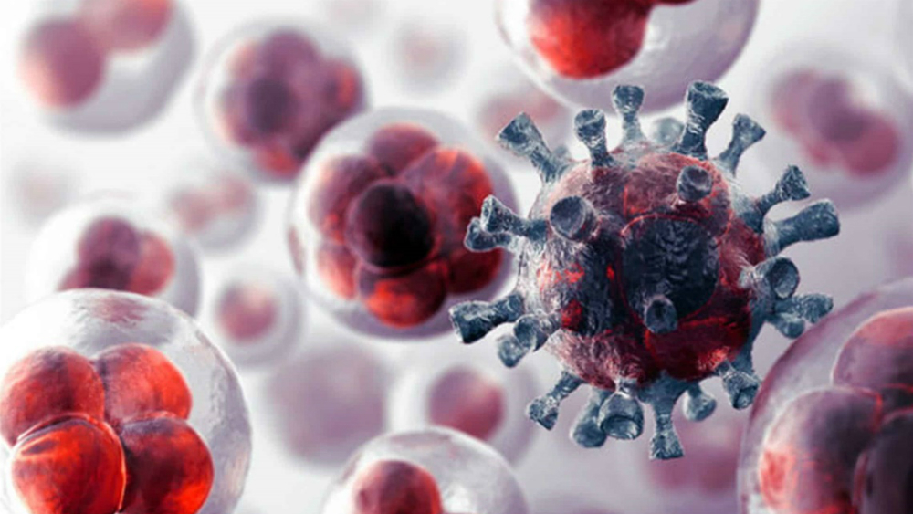 Desarrollan fármaco que paraliza el cáncer permanentemente - celulas-cancerosas