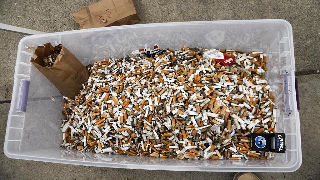 Colillas de cigarros contaminan más los océanos que los popotes