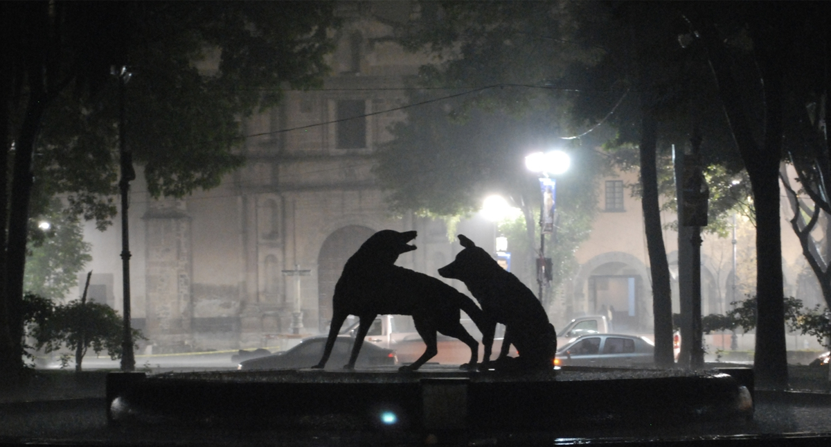 Alerta Amarilla en siete alcaldías capitalinas por lluvia
