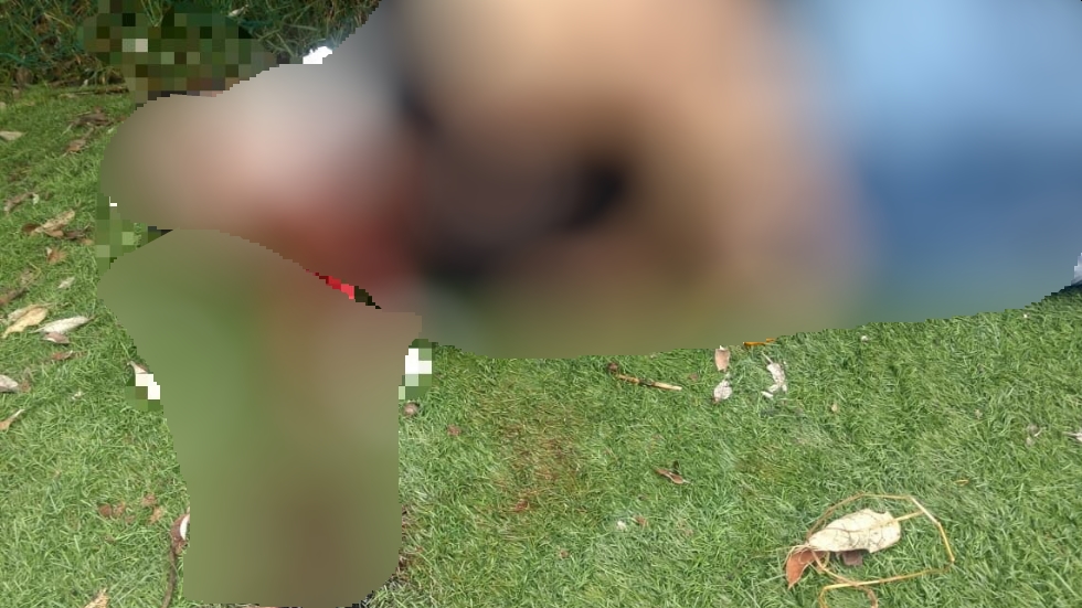 Hallan dos cuerpos en zona boscosa de Tlalpan - cuerpo-tlalpan-zona-boscosa-2