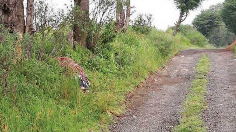 Hallan dos cuerpos en zona boscosa de Tlalpan