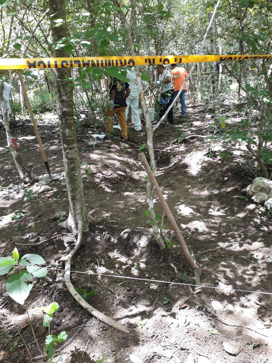 Exigen a López Obrador creación de instituto para búsqueda de desaparecidos - desapariciones