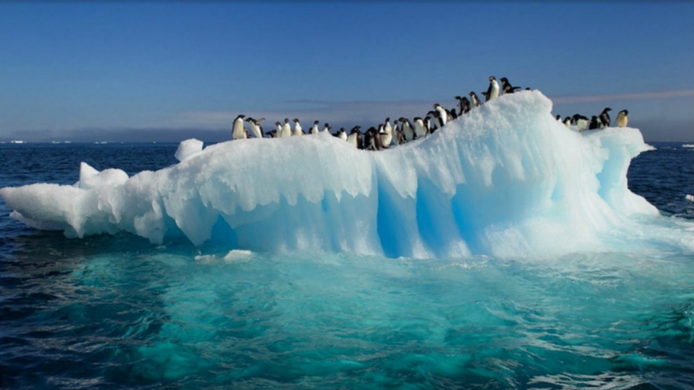 La Tierra en riesgo de caer en un irreversible estado "invernadero" - deshielo-polar
