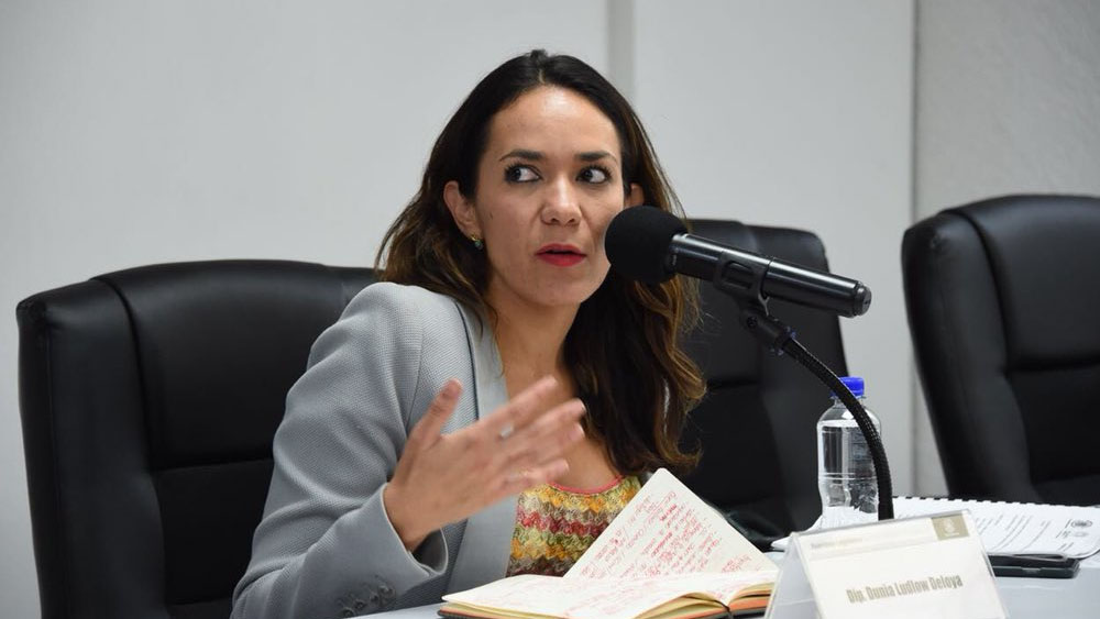 Diputada acusa a Seduvi por retraso en Ley de Vivienda
