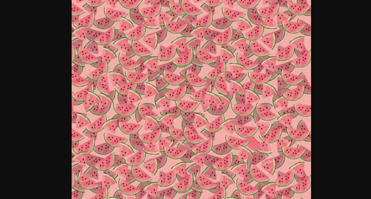 #RetoViral ¿Puede encontrar el tutú entre las sandías? #RetoViral ¿Puede encontrar el tutú entre las sandías?