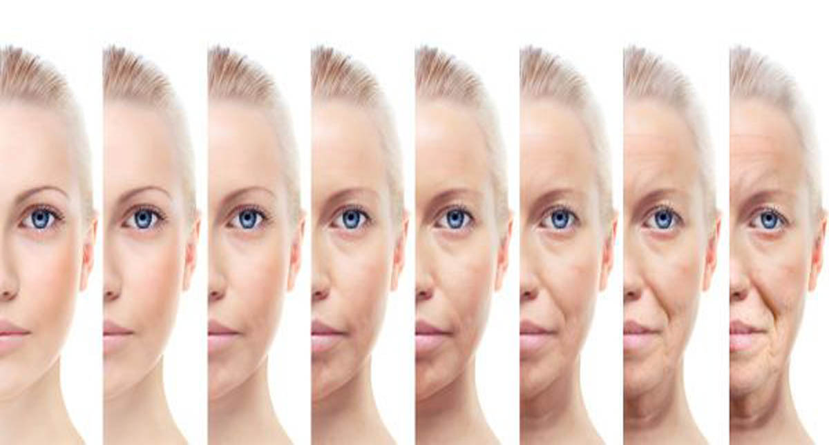 Revierten arrugas y caída del pelo en ratones - envejecimiento