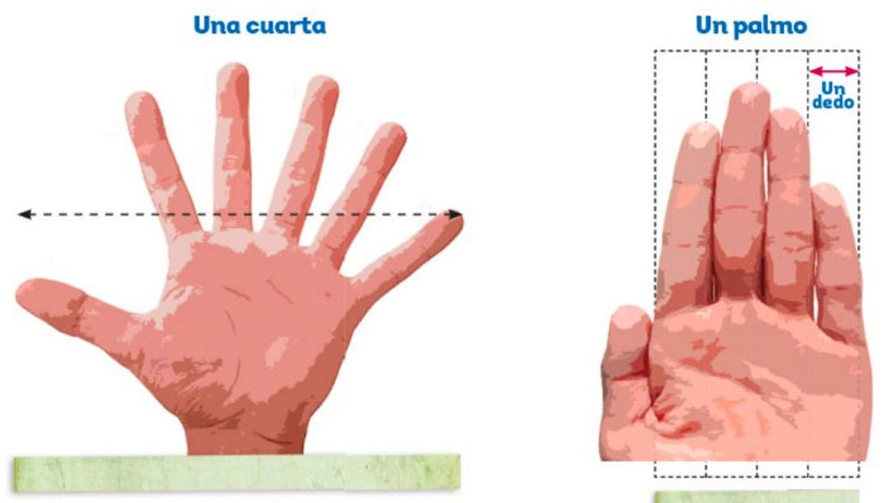 SEP corrige error en libro de primaria