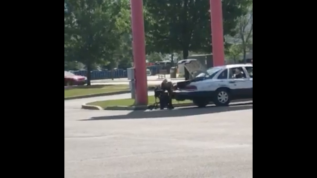 #Video Sorprenden a falso indigente en Walmart de Idaho