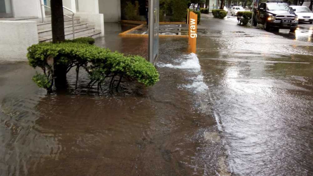 Fuga de agua potable en Insurgentes Sur