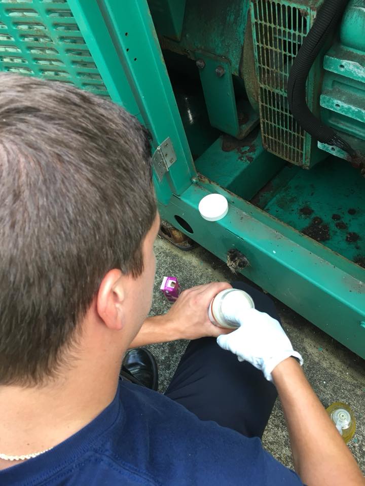 #FOTOS Así fue el rescate de gatito con la cabeza atrapada en generador - gato-atrapado-florida-2