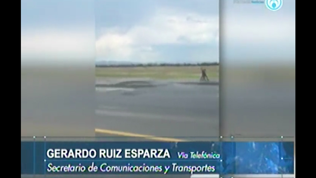 Ruiz Esparza niega que haya minimizado accidente aéreo en Durango
