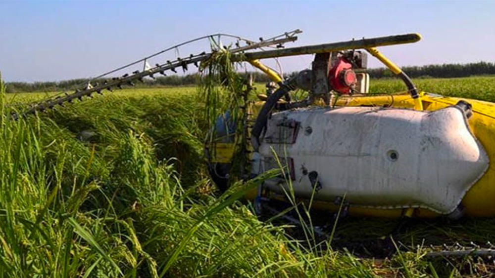 Helicóptero de fumigación se desploma en comunidad de Oaxaca