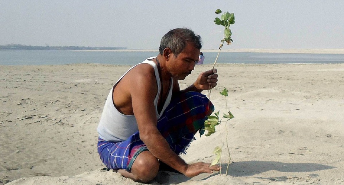 Hombre plantó un bosque durante 39 años en una isla desolada - hombre-planto-un-bosque-durante-39-anos-en-una-isla-desolada