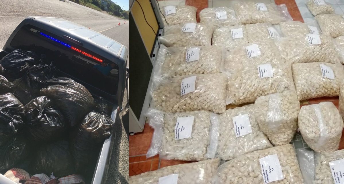 Detienen a tres sujetos con 35 mil huevos de tortuga en Oaxaca