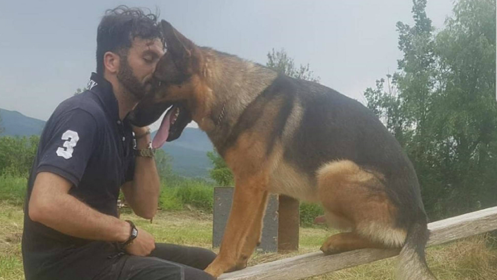 Muere ‘Kaos’, el perrito héroe de los terremotos en Italia