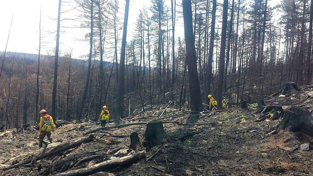 Suman 372 mexicanos que apoyan en combate de incendios en Canadá Suman 372 mexicanos que apoyan en combate de incendios en Canadá