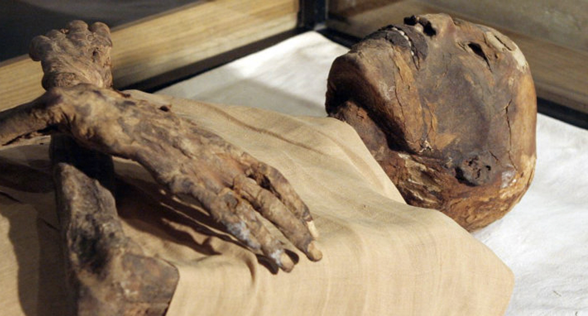 Revelan que momificación habría comenzado mucho tiempo antes de lo pensado Revelan que momificación habría comenzado mucho tiempo antes de lo pensado