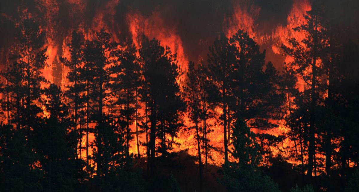 Incendio en Montana provoca evacuación de parques de acampar Incendio en Montana provoca evacuación de parques de acampar