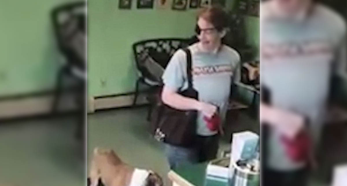 #Video Mujer abandona a bulldog en peluquería para mascotas #Video Mujer abandona a bulldog en peluquería para mascotas