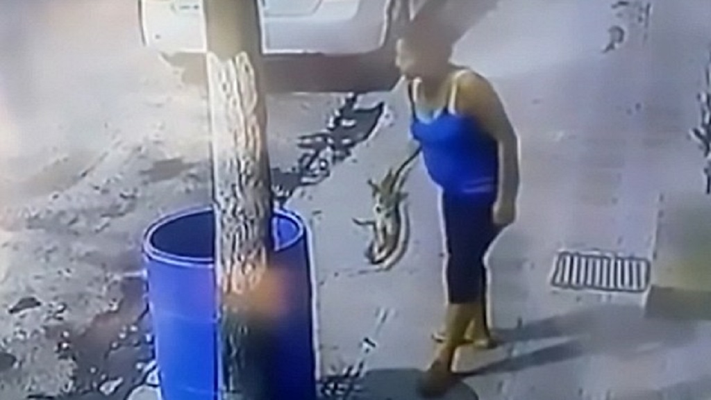 #Video Mujer tira a perro en tambo porque la perseguía