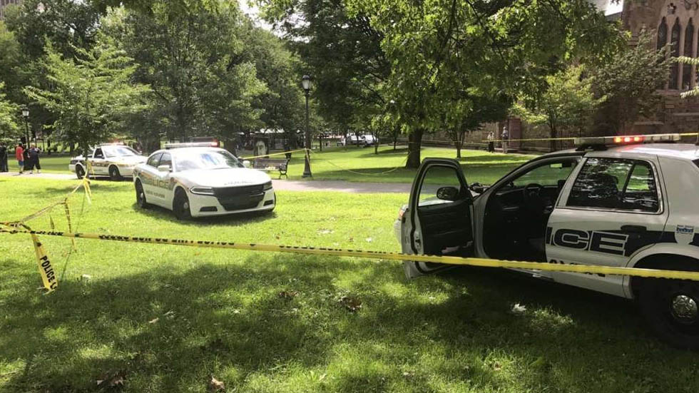 Más de 40 personas sufren sobredosis de mariguana en parque de Connecticut