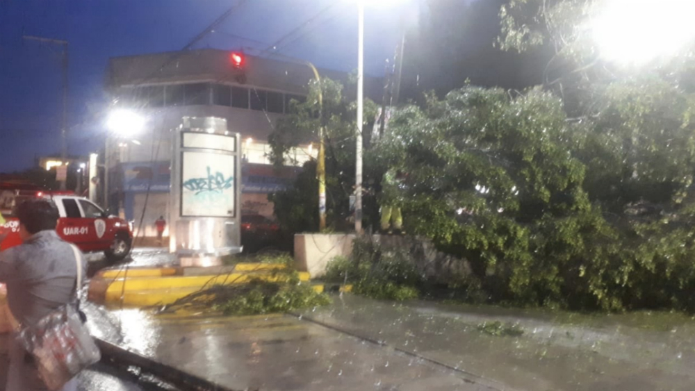 En Oaxaca implementan plan de emergencia luego de daños por lluvia
