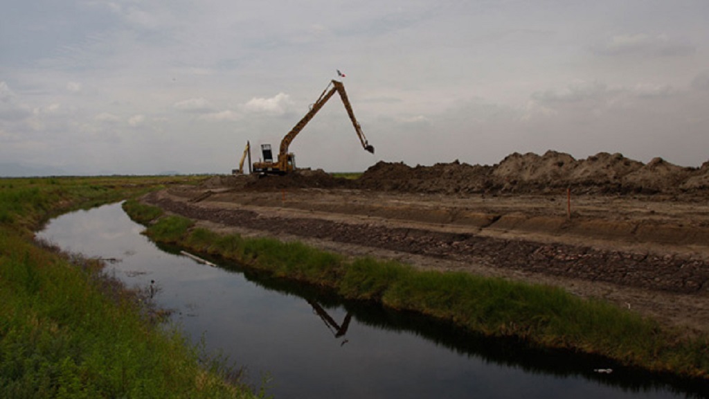 Piden crear hábitat de aves ante riesgos por NAIM