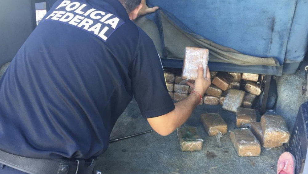 Detiene PF a cuatro que transportaban casi 177 kilos de mariguana