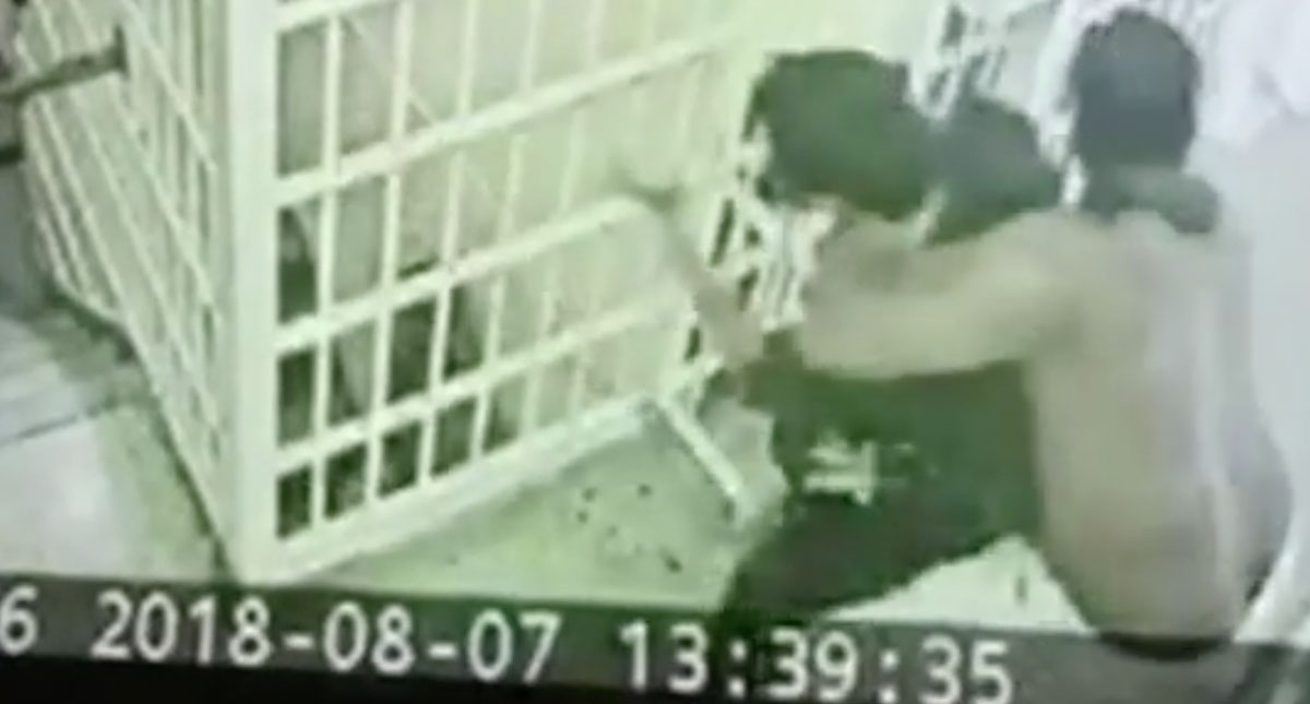 #Video Reo ataca a oficial de correccional en Nueva York