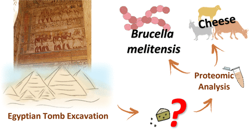 Hallan en Egipto el queso más antiguo del mundo - queso-egipto-2