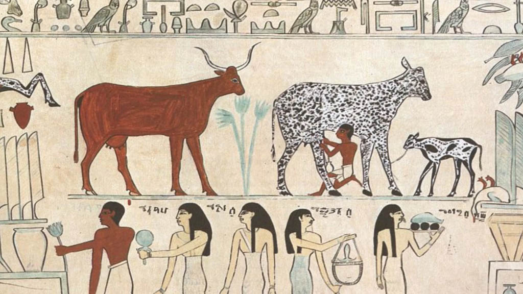 Hallan en Egipto el queso más antiguo del mundo