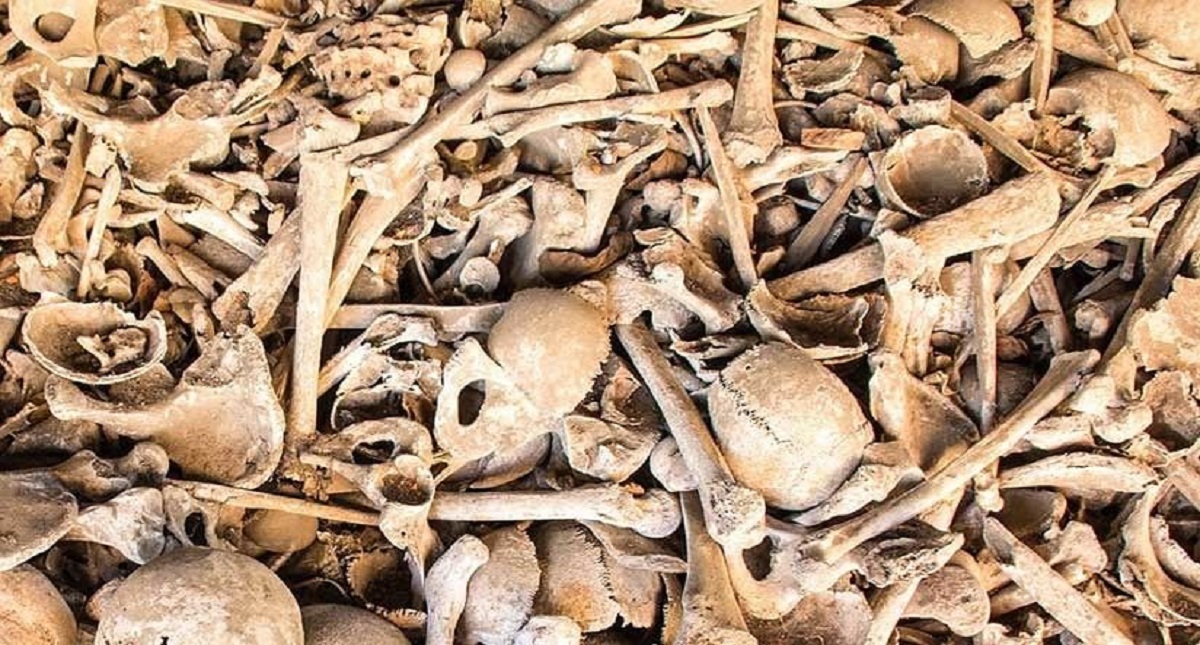 Hallan los restos de la primera hija de dos especies humanas diferentes